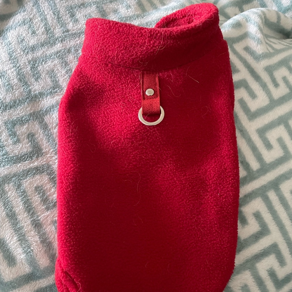 Red dog sweater